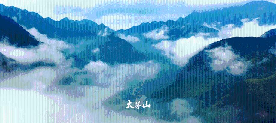 炉石传说