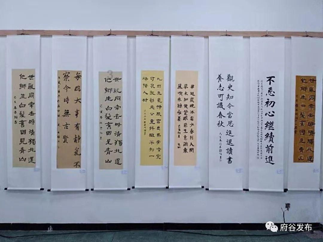 植物大战僵尸7