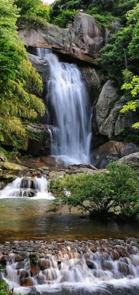 邵鸿鸣辞去浙江永太科技股份有限公司董事职务
